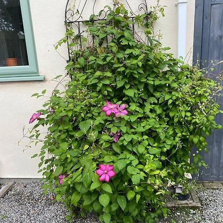Apartamento Rural Cosy Retreat For Two Near Port Isaac Delabole Exterior foto